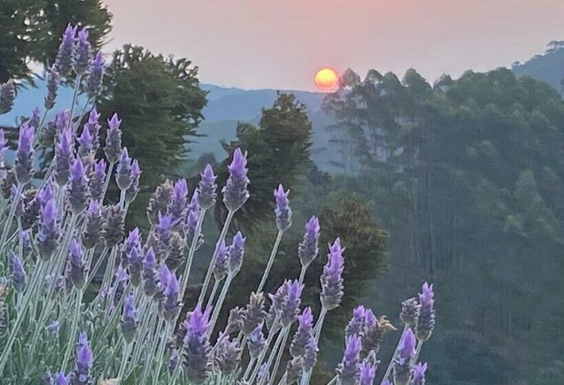 פנסיון Chalé Da Horseland Bj