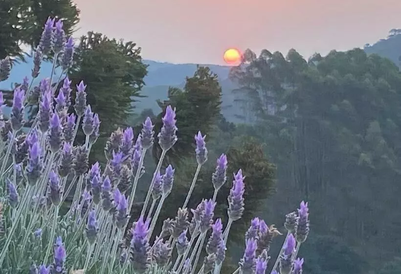 Majatalo Chalé Da Horseland Bj