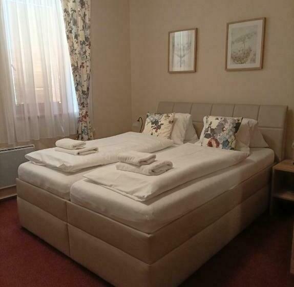 Пансион Penzion Venkovský Dvůr