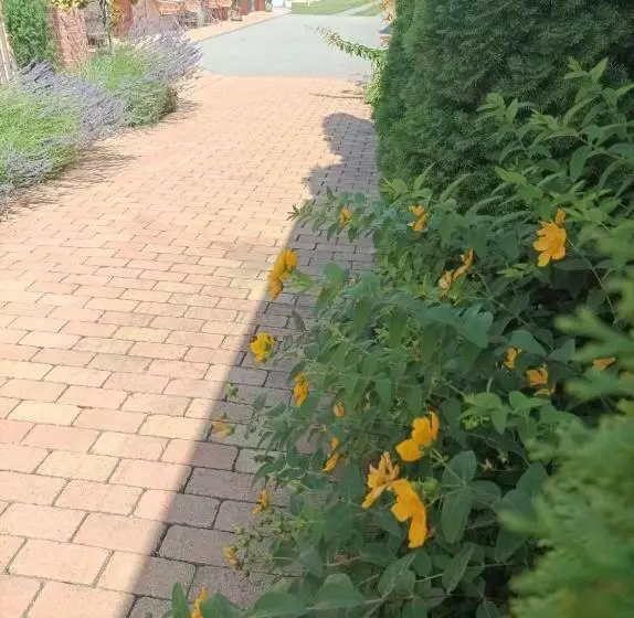 ペンション Penzion Venkovský Dvůr