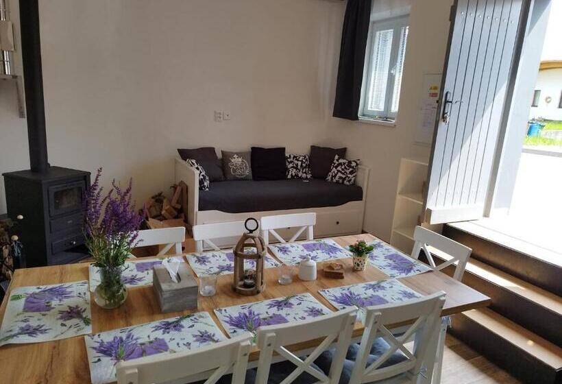 Пансион Vinný Sklep Rozárka