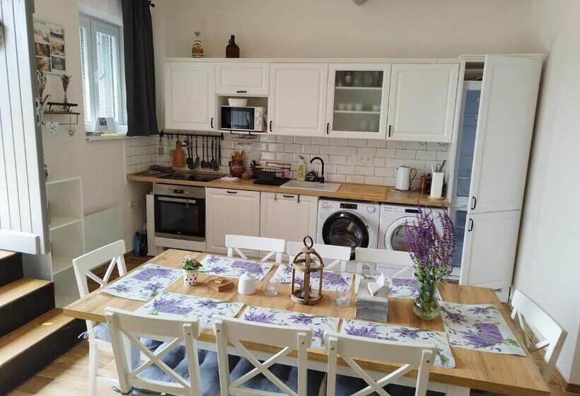 Пансион Vinný Sklep Rozárka