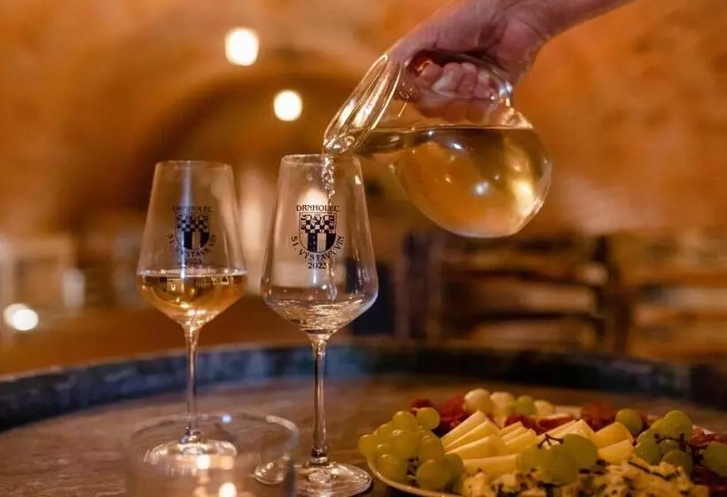 ペンション Vinný Sklep Rozárka