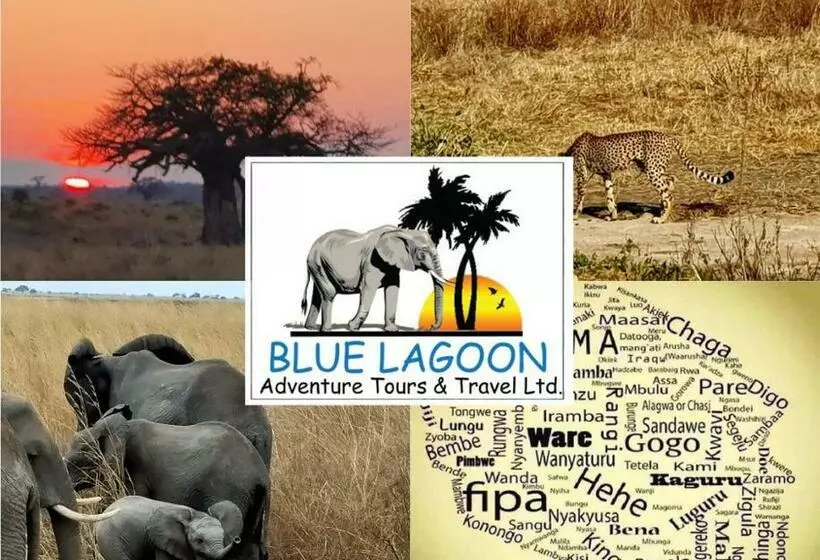 Hotelli Eden Paradise