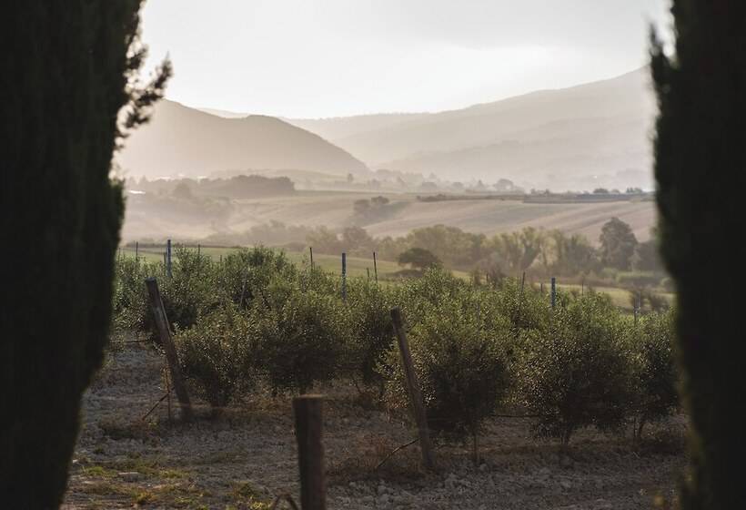 בית מלון כפרי Le Fraine Agriturismo & Olives Glamping