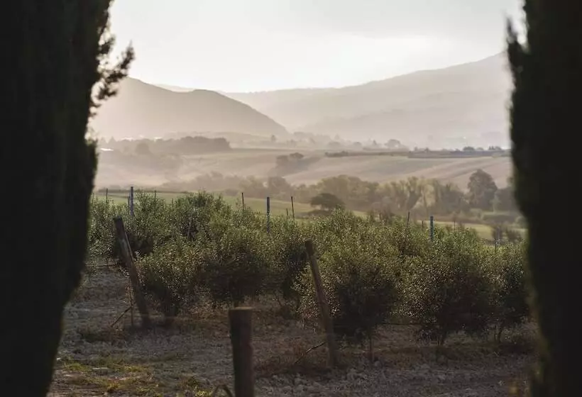 Hotelli Le Fraine   Agriturismo & Olives Glamping