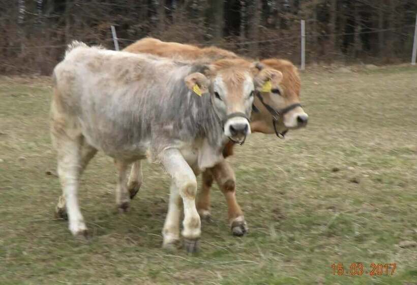 Biobauernhof Wolf Hof
