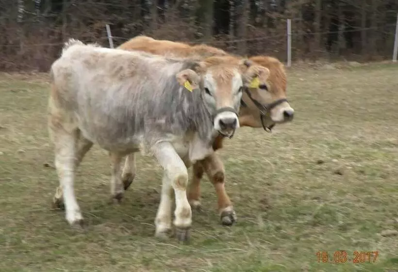 Biobauernhof Wolf Hof