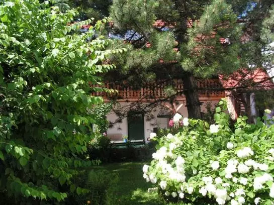 Bauernhof Hof Zu Steinern