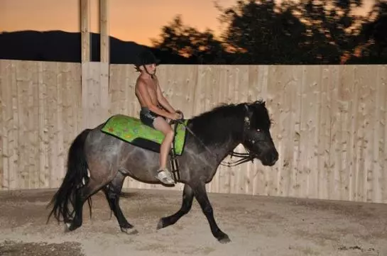 Bauernhof Hof Zu Steinern