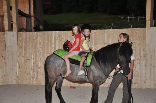 Bauernhof Hof Zu Steinern