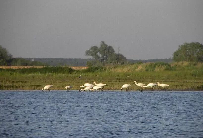 Otel De Brabantse Biesbosch