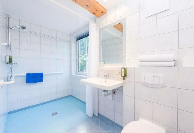 Отель Mölltalerhof