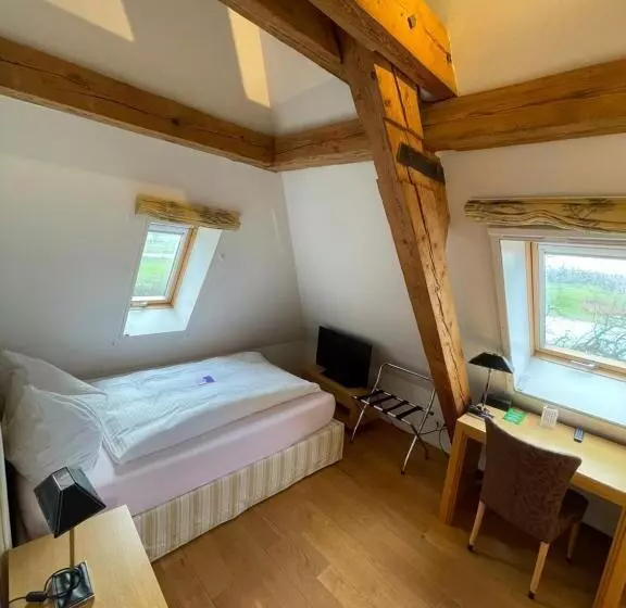 Hotel Parkforum Wylihof