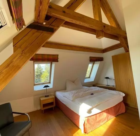 Hotel Parkforum Wylihof