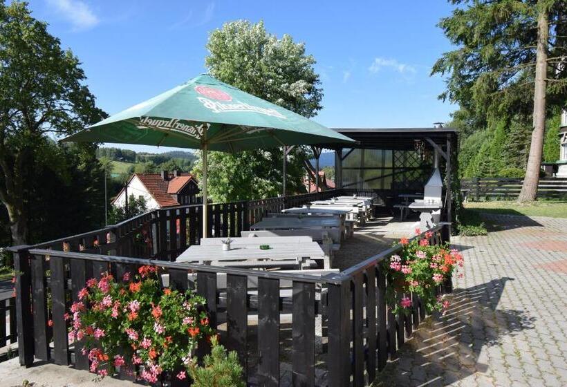 Отель Pension St. Moritz