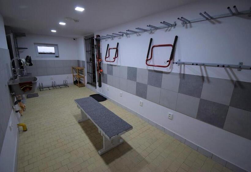 Отель Pension St. Moritz