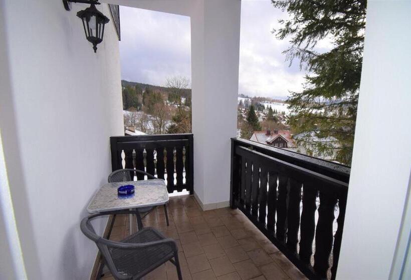 Отель Pension St. Moritz