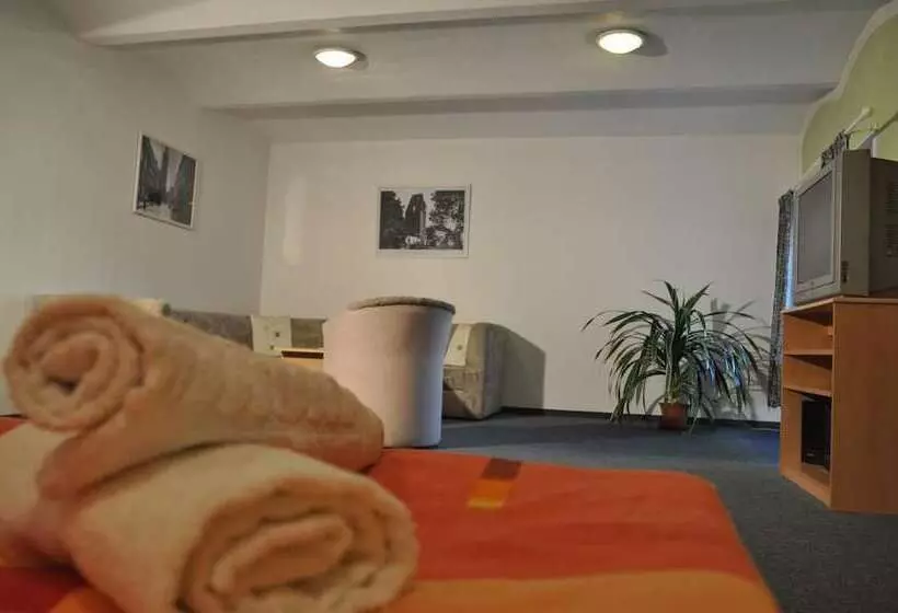 ホテル Penzion U Vlka