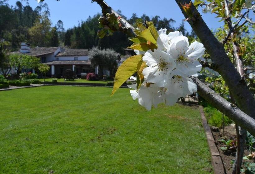 酒店 Quintal De Alem Do Ribeiro Turismo Rural