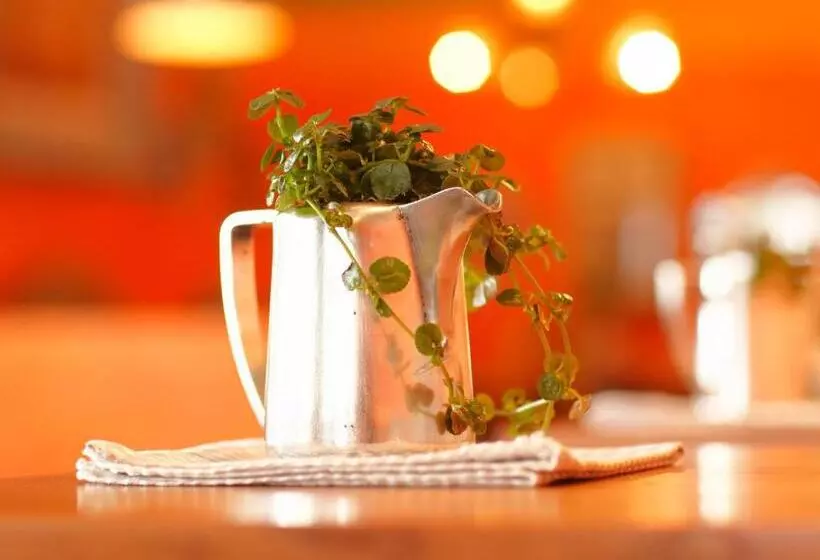 בית מלון כפרי & Restaurant Zum Beck