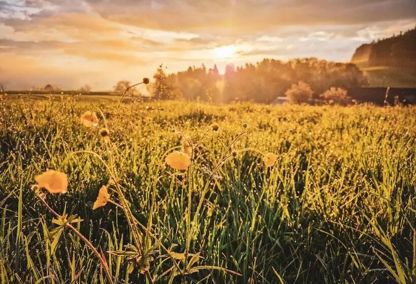 Romantik Hotel Bären Dürrenroth