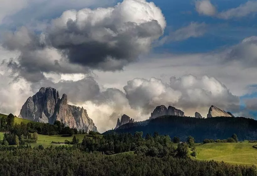 Sonnenhotel Adler Spa & Nature Adults Only