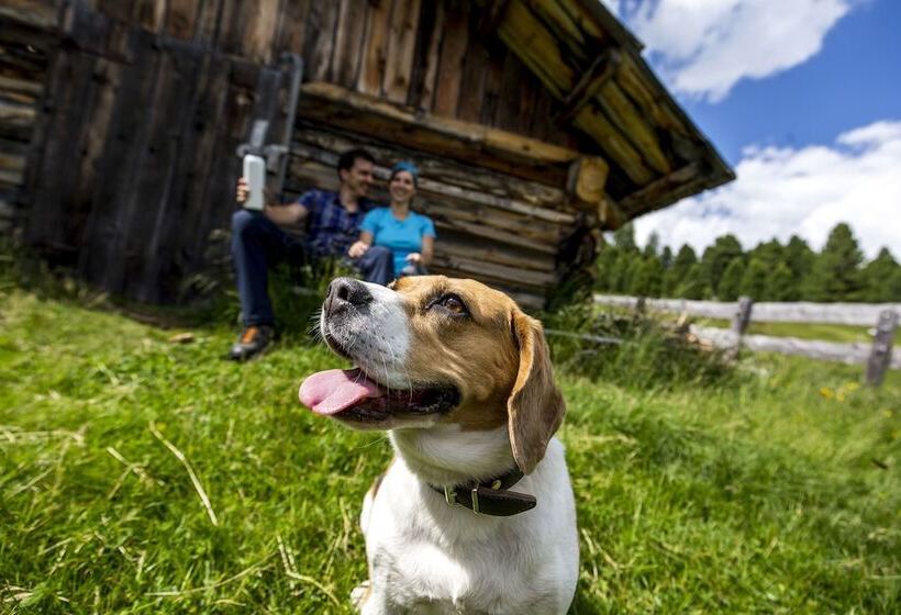 Sonnenhotel Adler Spa & Nature Adults Only