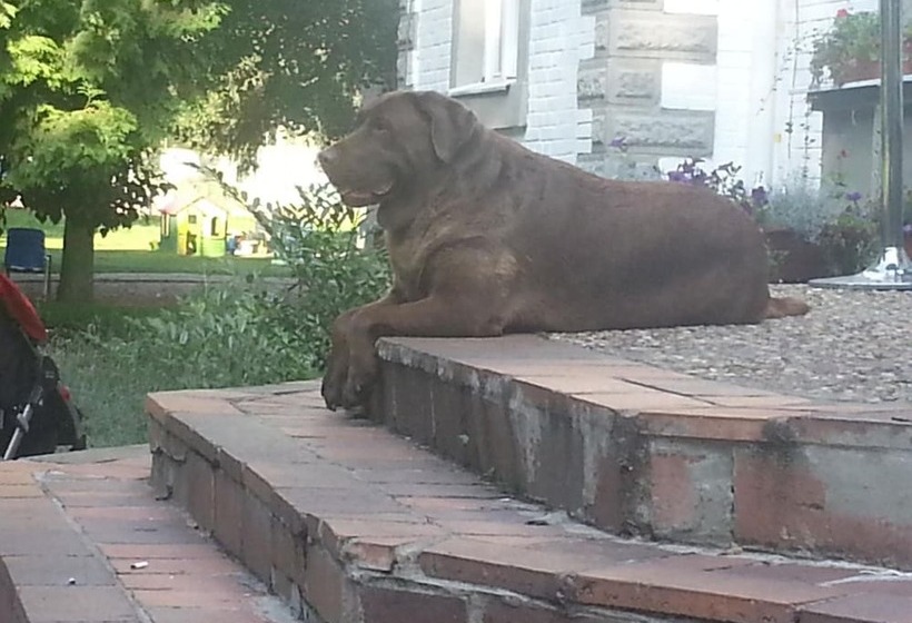 Siesta Rodinný Resort