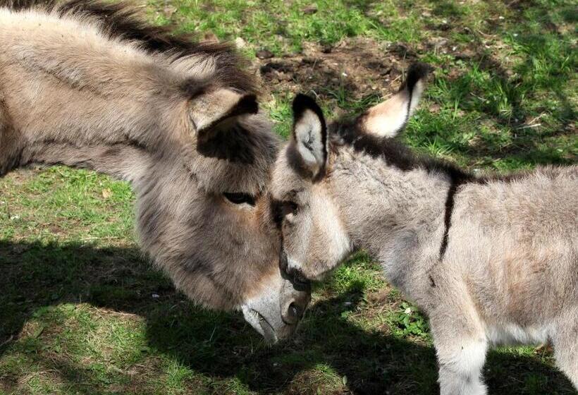 酒店 La Campagnola