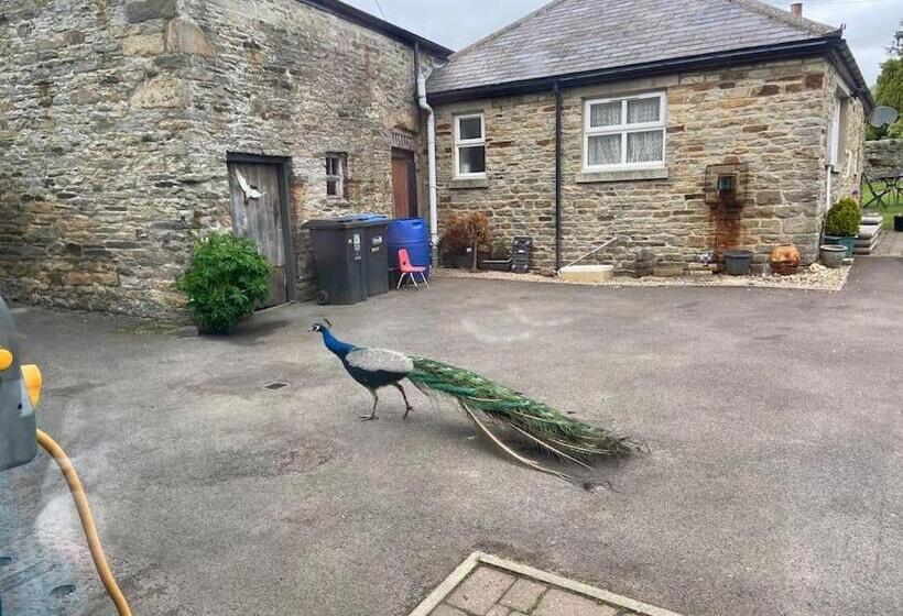 Cosy 1 Bedroom Cottage With Indoor Open Fireplace