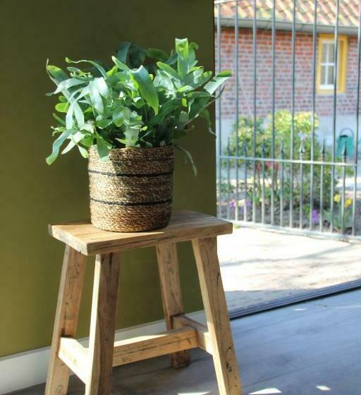 Domestico Bed & Breakfast