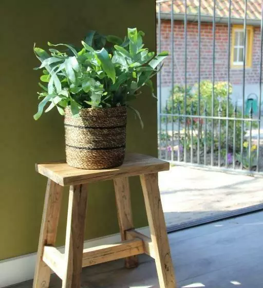 Domestico Bed & Breakfast