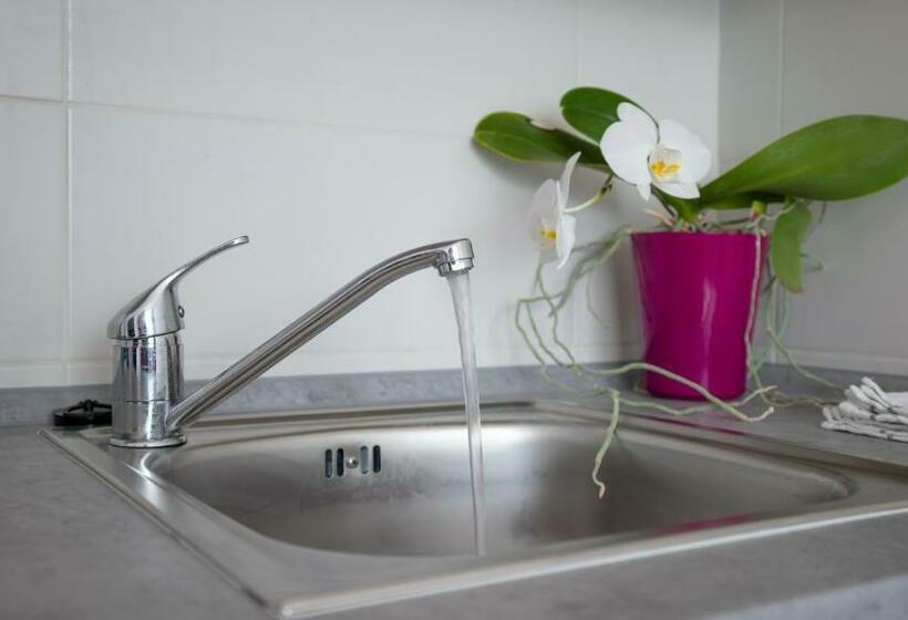 Hostel Apartmány A Studia Zámecký Park