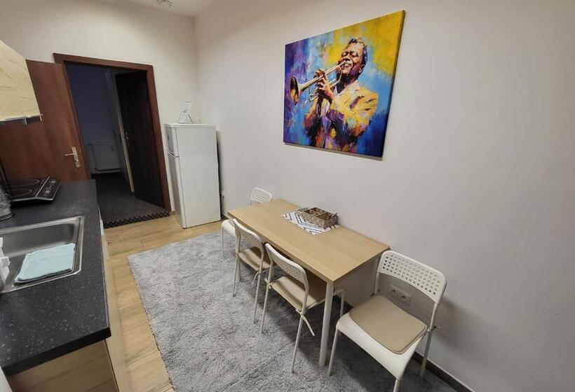 Excellent Apartments In Karlovy Vary