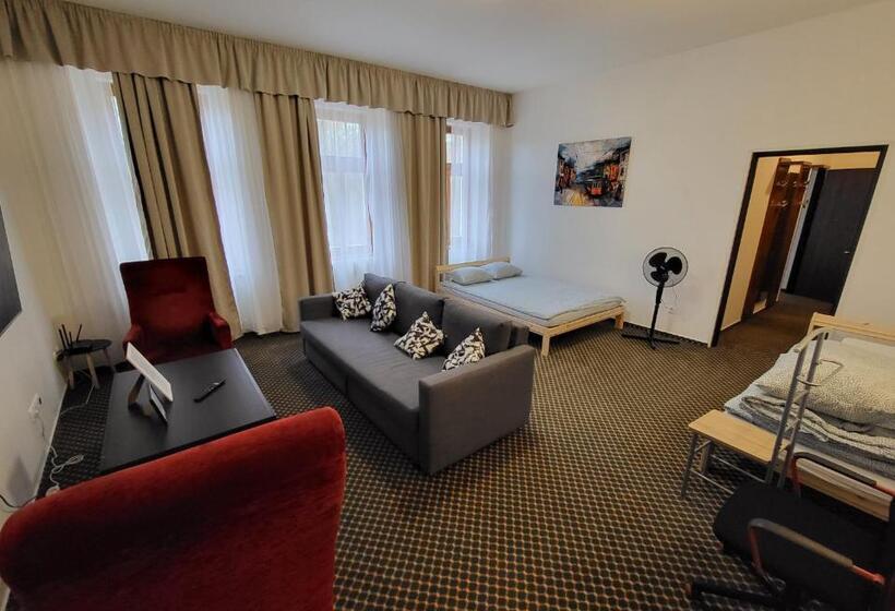 Excellent Apartments In Karlovy Vary