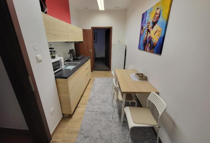 Excellent Apartments In Karlovy Vary