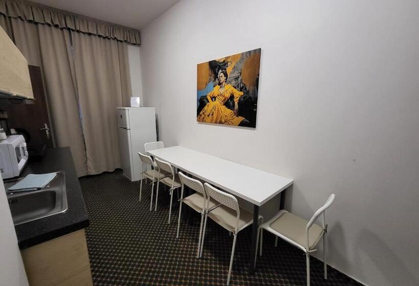 Excellent Apartments In Karlovy Vary