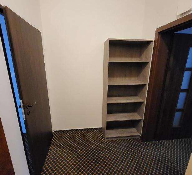 Excellent Apartments In Karlovy Vary