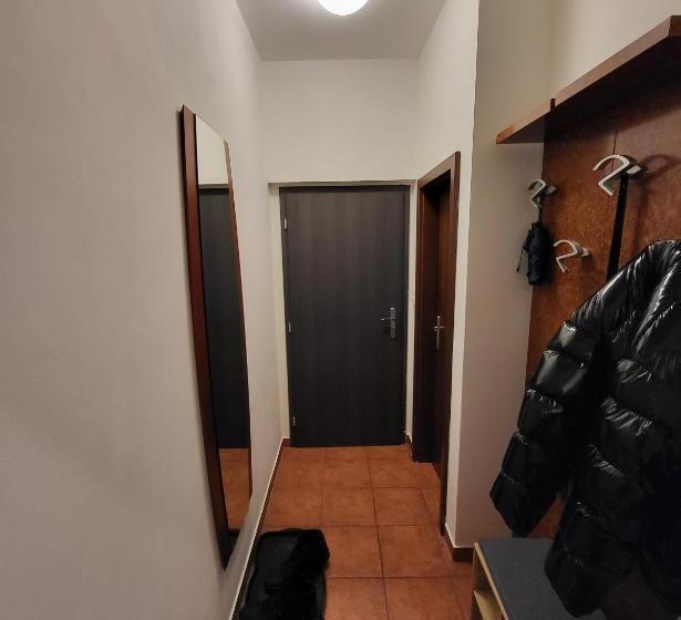 Excellent Apartments In Karlovy Vary