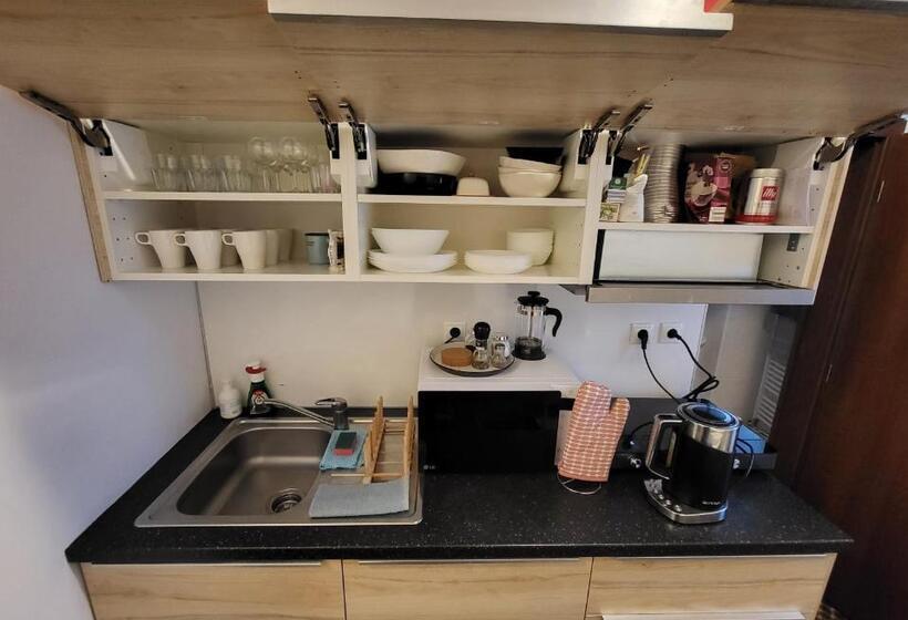 Excellent Apartments In Karlovy Vary