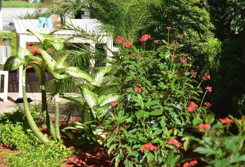 Steps To Sand And Sea 3