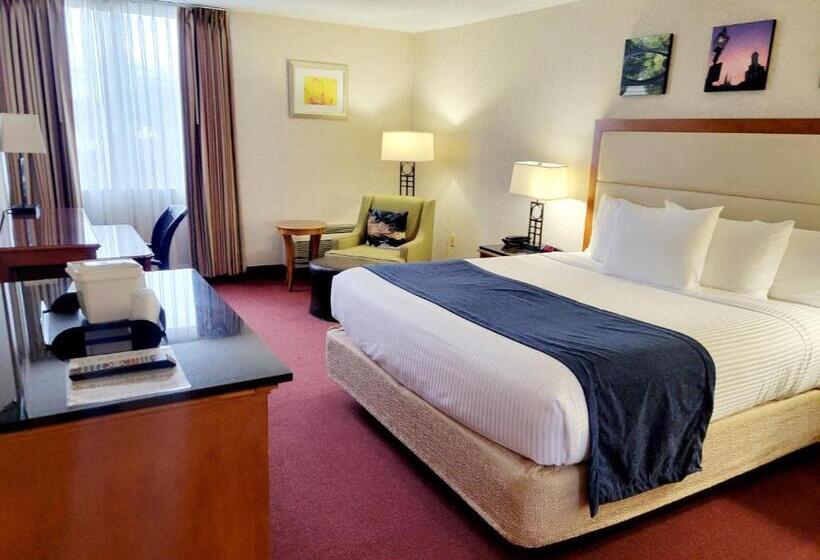 فندق Bangor Grande