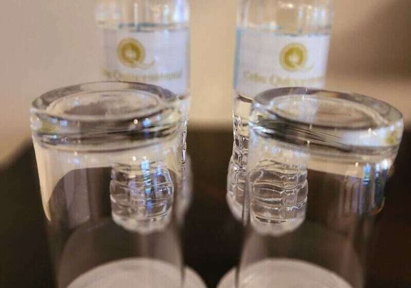 בית מלון כפרי Cebu Quincentennial