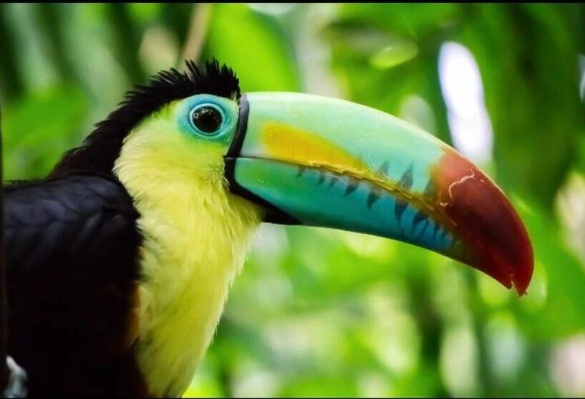 پانسیون Beachfront Paradise