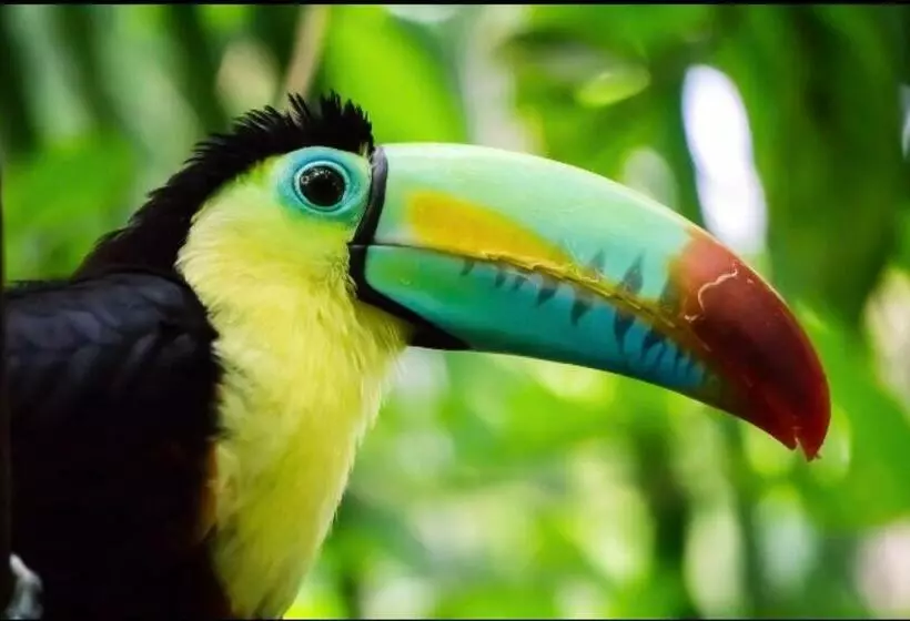 پانسیون Beachfront Paradise