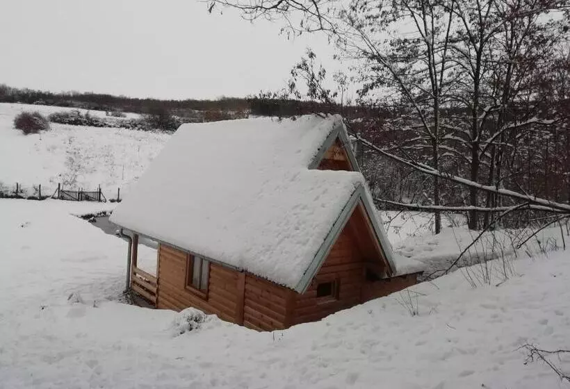 Vlajina Brvnara