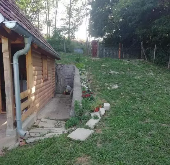 Vlajina Brvnara