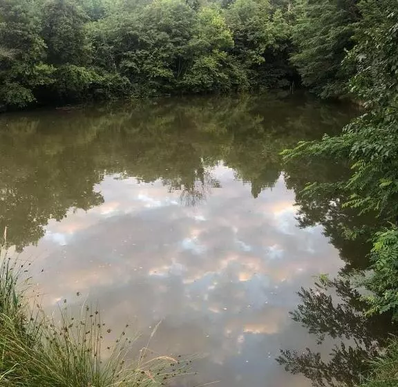 Vlajina Brvnara