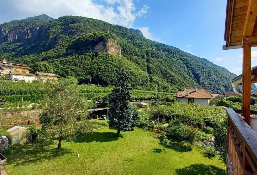 مبيت وإفطار Garni Grüner Baum